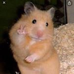 Profile Picture of eugene_daniels69 (@eugene_daniels69) on Instagram