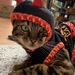 Profile Picture of Fern Adams (@fernando101010101) on Pinterest