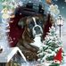Profile Picture of Stephen Morcom (@stephen.morcom.3) on Facebook