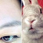 Profile Picture of Connie Zeng (@kakatuzi) on Instagram