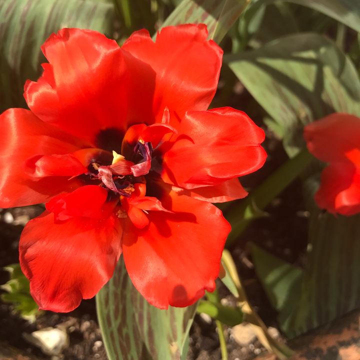 Profile Picture of user5748364338999 (@junepearce61) on Tiktok
