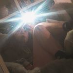 Profile Picture of Alex (@alex.dyer56) on Instagram