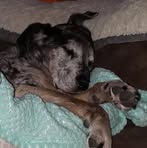 Profile Picture of David Medwid (@themedwid) on Facebook