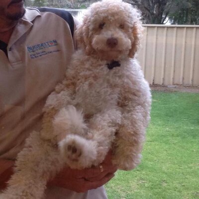 Profile Picture of Kim Hennessy-Darke (@Kimbra48) on Twitter