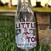Profile Picture of Tom DiCillo (@chewy5150) on Pinterest