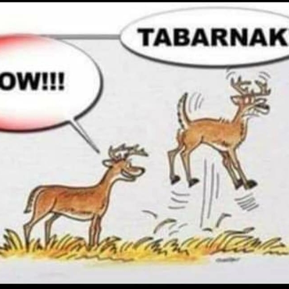 Profile Picture of Sabrina Brindamour (@s_brindamour) on Poshmark