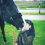 Profile Picture of Angel & Ines (@_2_cavalieres_une_passion) on Instagram