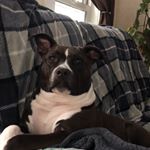 Profile Picture of Claudia Stewart (@claudias828) on Instagram