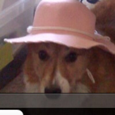 Profile Picture of Chris Takahashi (@BruintaxChris) on Twitter