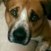Profile Picture of Daniel Roope (@eelysiuml2) on Pinterest