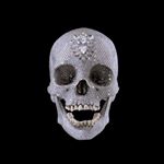 Profile Picture of 𝖘𝖎𝖑𝖎𝖈𝖔𝖓 𝖛𝖆𝖑𝖑𝖊𝖞 (@martin_tavoda) on Instagram