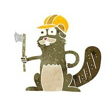 Profile Picture of VeganBeaverBobⓋⒶ 🗽 😸 🌱 🎵 🌎 (@VeganBeaverBob) on Twitter