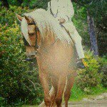 Profile Picture of javieraragonsanchez (@javier_aragon_sanchez) on Instagram