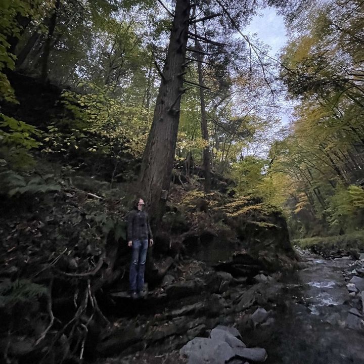 Profile Picture of matt (@matthew_arent) on Tiktok