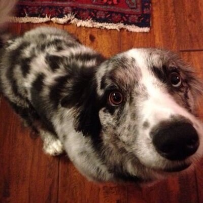 Jeff Goldsmith - Twitter Profile Picture of Jeff Goldsmith (@jeffiegold) on Twitter