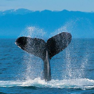 Profile Picture of Devyn Henderson (@Devyn-Henderson) on Facebook