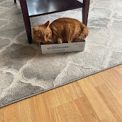 Profile Picture of Alexa Carter  (@AlexaCarter-up5fg) on Youtube