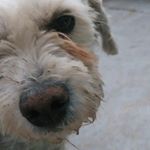 Profile Picture of Cindy Cuellar (@cindy.ordaz.08) on Instagram