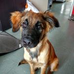 Profile Picture of Yoann Lecrivain (@hunkyu) on Instagram