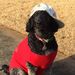 Profile Picture of Jacob Mansfield (@gajacoblee1998) on Pinterest