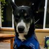 Profile Picture of Brian Hillock (@@brianhillock0) on Tiktok