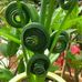 Profile Picture of Samnang In (@samnang.in.92) on Facebook