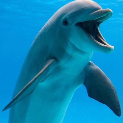 Profile Picture of Raymond Lui (@Raylui3) on Twitter