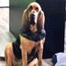 Profile Picture of Bob Fudge (@bob.fudge.9210) on Facebook