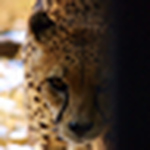 Profile Picture of Steven Clark (@StevenMC19) on Flickr