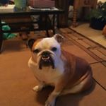 Profile Picture of Dave Hearn (@hearn1499) on Instagram