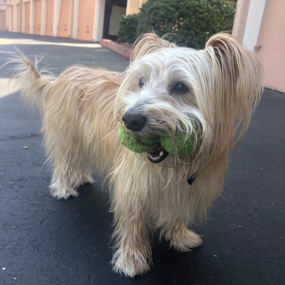 Profile Picture of Michael Fakhoury (@mikeyinsd) on Poshmark