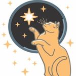 Profile Picture of Nancy C. Hanger (@starcatbooks) on Instagram