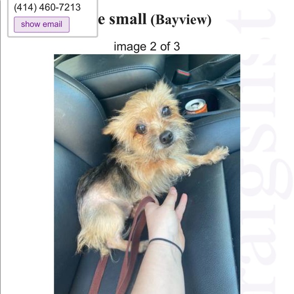 Profile Picture of Marilyn Serrano (@marilynsrn) on Poshmark