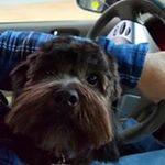 Profile Picture of Ann Boylan (@ann.boylan3) on Instagram