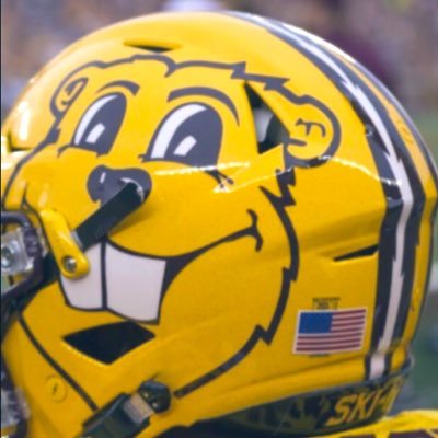 Profile Picture of Jay Horner (@MinnesotaFan13) on Twitter