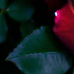 Profile Picture of Aaron Caballero (@aaron_caballero_) on Instagram