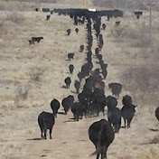 Profile Picture of Zachary Parrott (@zacharyparrott9766) on Youtube