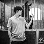 Profile Picture of 张鲁一影迷会 (@zhangluyiyingmihui) on Instagram