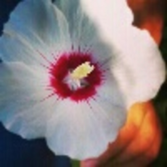 Profile Picture of Daniela Grimard (@singer2727) on Poshmark