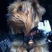 Profile Picture of Harley Jake Unruh (@harleyjake.unruh) on Facebook