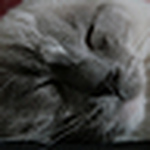 Profile Picture of Nadine Kern (@nadine kern) on Flickr