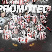 Profile Picture of Reggie Chapman (@SAFC_REGGIE) on Youtube