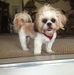 Profile Picture of Joanna Oswald (@joanna.oswald.73) on Facebook