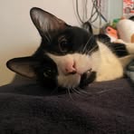 Profile Picture of Max Milbourn (@Max-Milbourn) on Facebook