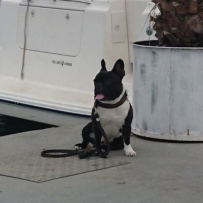 Profile Picture of Siegfried Müller (@SiegfriedMller8) on Twitter