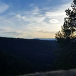 Profile Picture of Simone DePonte (@moniedep) on Instagram