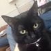 Profile Picture of Matthew Hutson (@hutson0832) on Pinterest