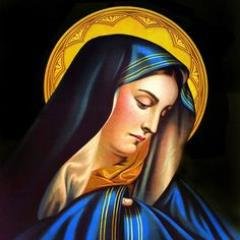 Profile Picture of John Micciche (@ArabCatholic) on Twitter