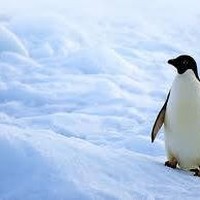 Profile Picture of Carlos Guadalupe (@carlos-guadalupe-4) on Quora