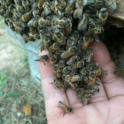 Profile Picture of Kenny Neal (@NealFarms-KY) on Youtube